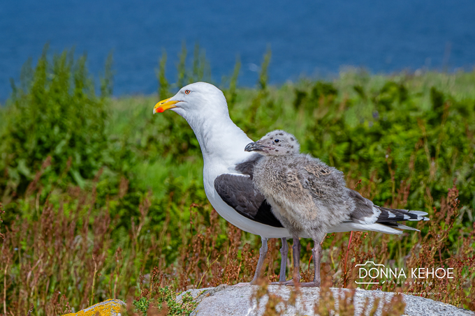 Parent and child